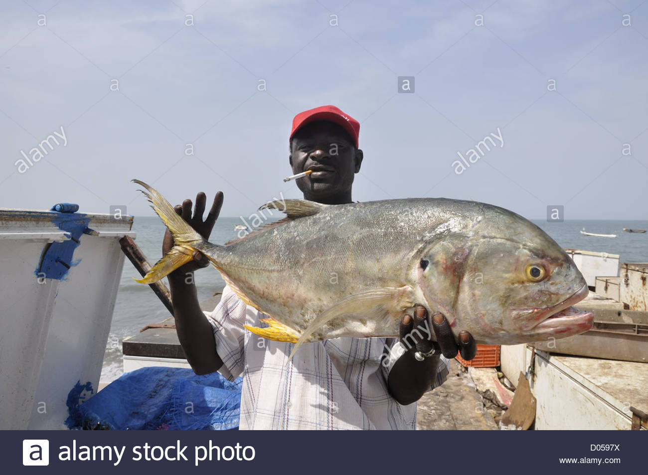 Fisheries 